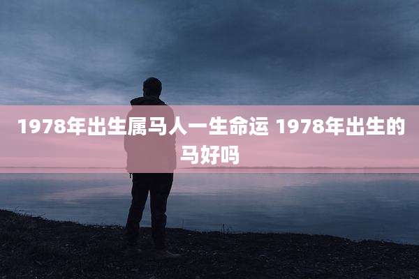 1978年出生属马人一生命运 1978年出生的马好吗