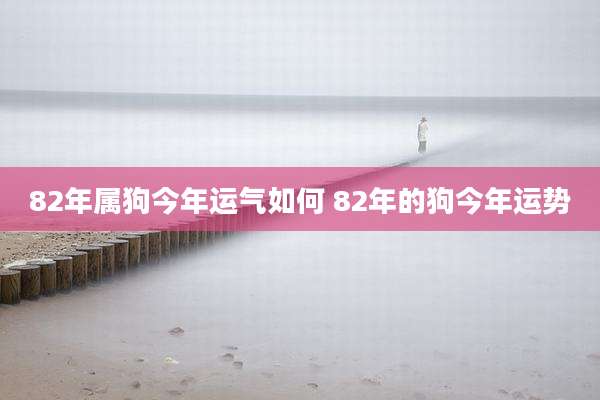 82年属狗今年运气如何 82年的狗今年运势