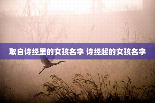取自诗经里的女孩名字 诗经起的女孩名字