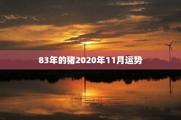 83年的猪2020年11月运势