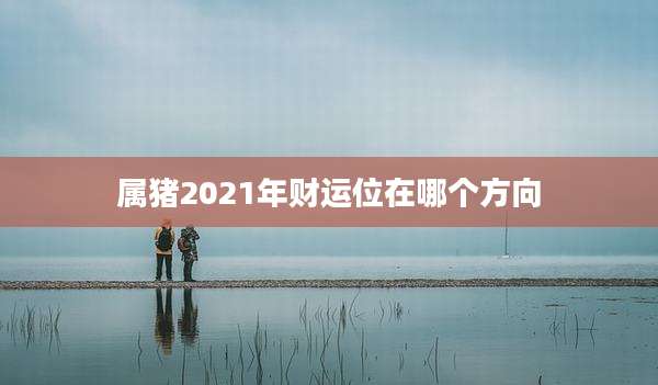 属猪2021年财运位在哪个方向