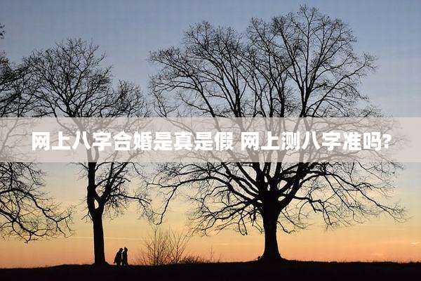 网上八字合婚是真是假 网上测八字准吗?