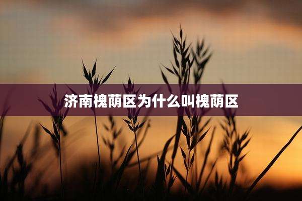 济南槐荫区为什么叫槐荫区