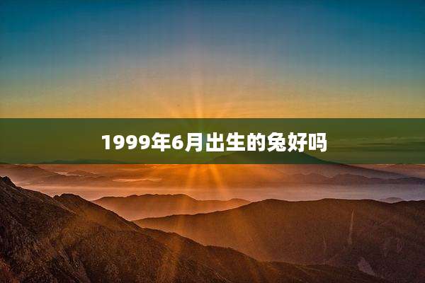 1999年6月出生的兔好吗