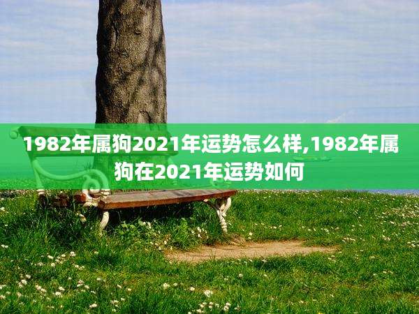 1982年属狗2021年运势怎么样,1982年属狗在2021年运势如何