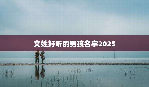 文姓好听的男孩名字2025
