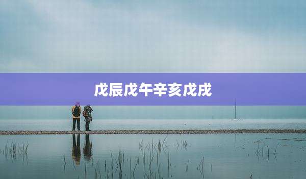 戊辰戊午辛亥戊戌