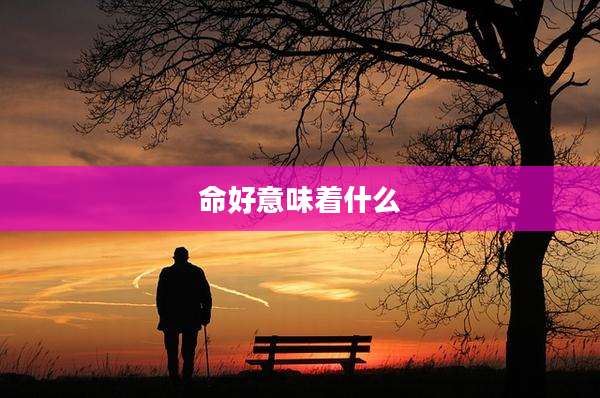 命好意味着什么