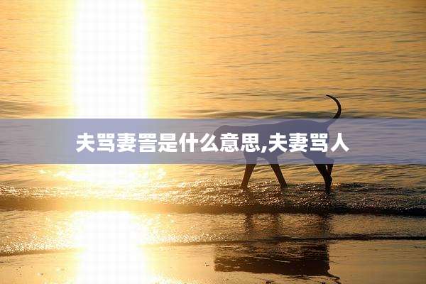 夫骂妻詈是什么意思,夫妻骂人