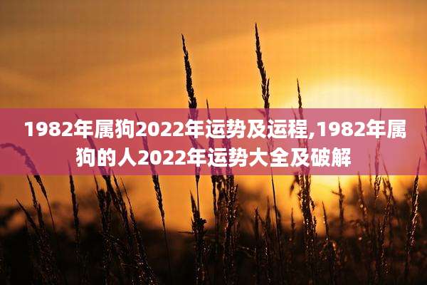 1982年属狗2022年运势及运程,1982年属狗的人2022年运势大全及破解