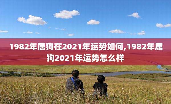1982年属狗在2021年运势如何,1982年属狗2021年运势怎么样