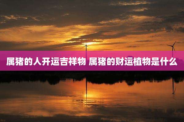 属猪的人开运吉祥物 属猪的财运植物是什么