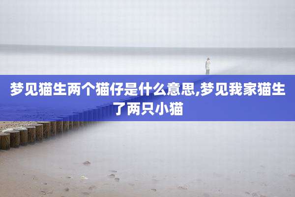 梦见猫生两个猫仔是什么意思,梦见我家猫生了两只小猫
