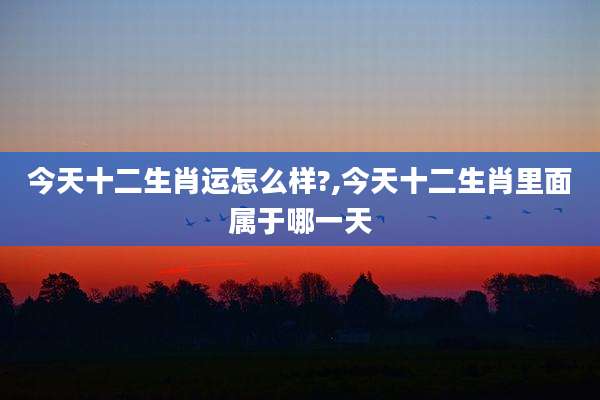 今天十二生肖运怎么样?,今天十二生肖里面属于哪一天