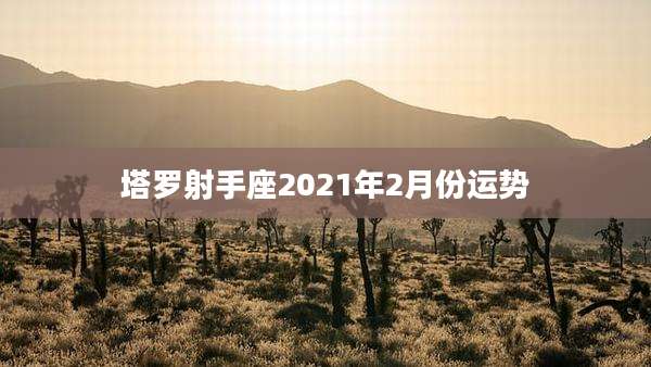 塔罗射手座2021年2月份运势