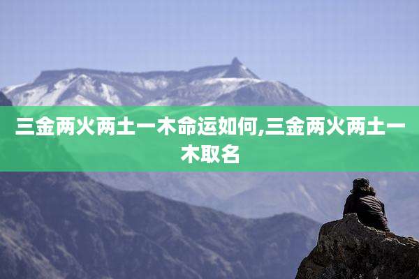 三金两火两土一木命运如何,三金两火两土一木取名
