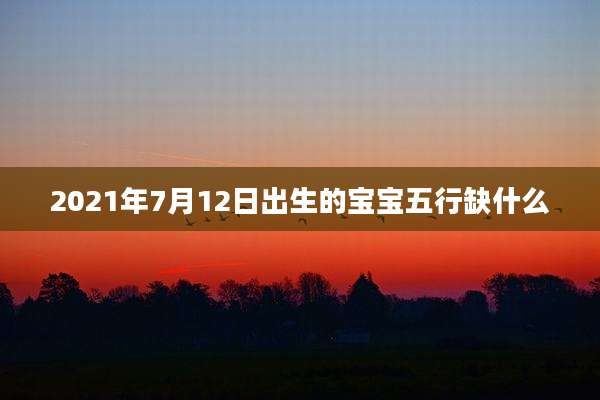 2021年7月12日出生的宝宝五行缺什么