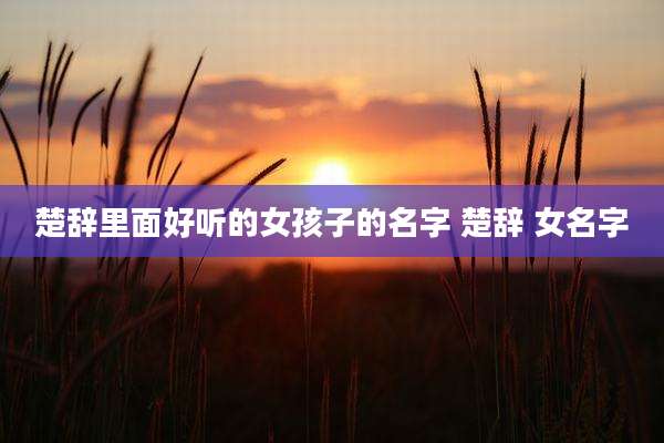 楚辞里面好听的女孩子的名字 楚辞 女名字