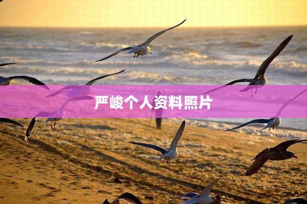 严峻个人资料照片