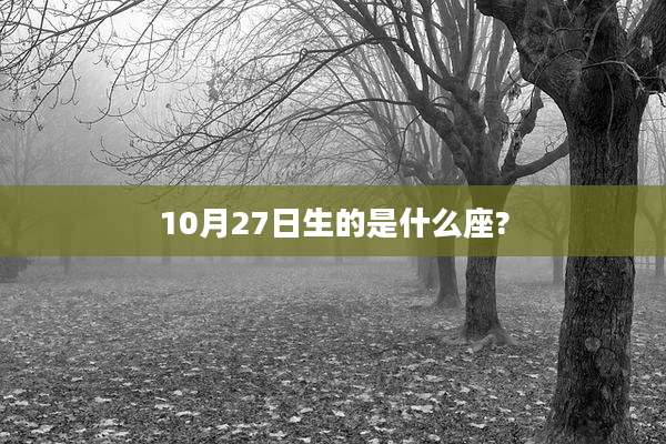 10月27日生的是什么座?