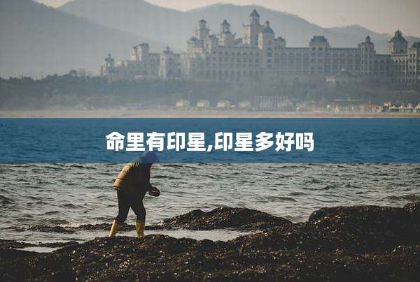 命里有印星,印星多好吗
