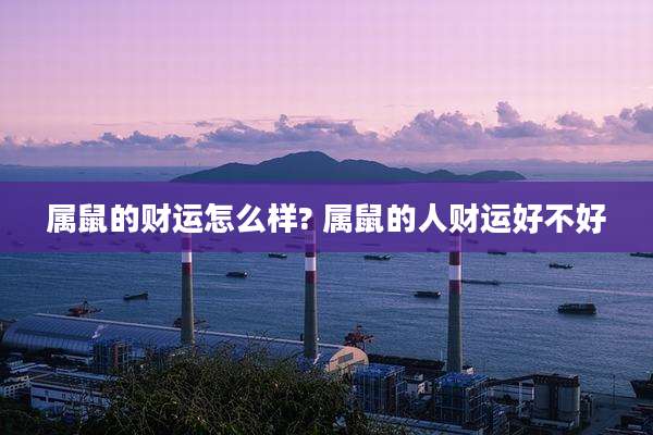 属鼠的财运怎么样? 属鼠的人财运好不好