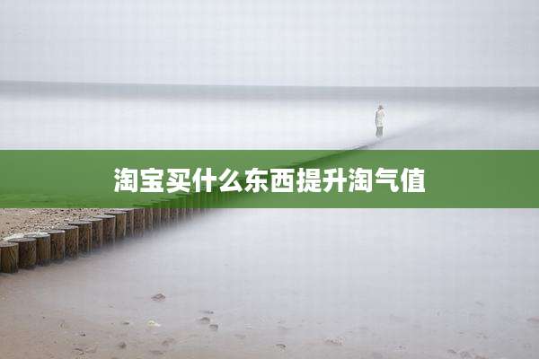 淘宝买什么东西提升淘气值