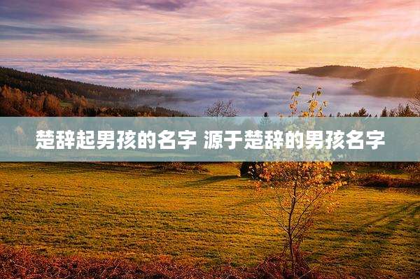 楚辞起男孩的名字 源于楚辞的男孩名字