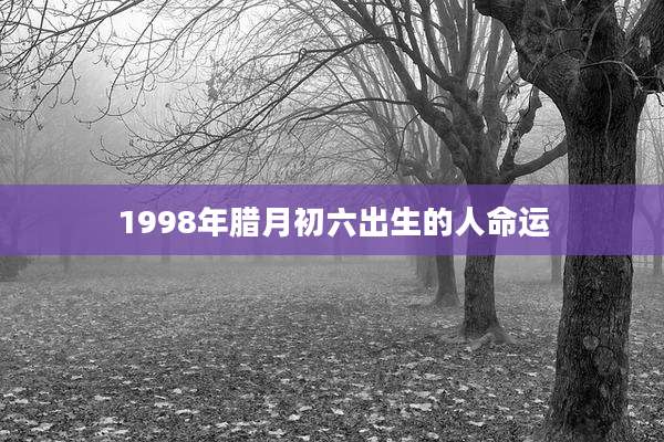 1998年腊月初六出生的人命运