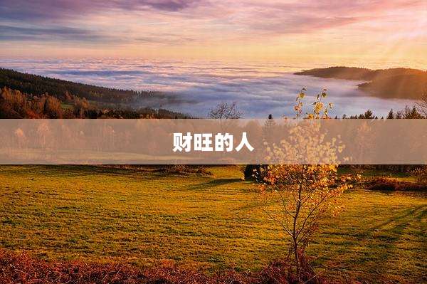 财旺的人
