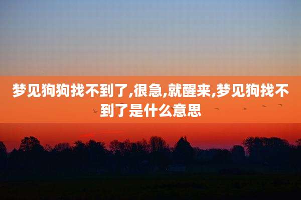 梦见狗狗找不到了,很急,就醒来,梦见狗找不到了是什么意思