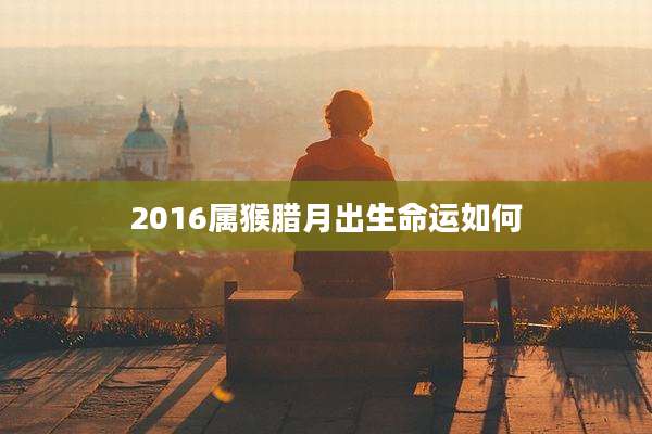 2016属猴腊月出生命运如何