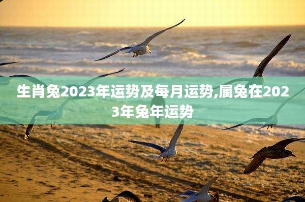 生肖兔2023年运势及每月运势,属兔在2023年兔年运势