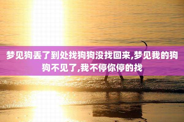 梦见狗丢了到处找狗狗没找回来,梦见我的狗狗不见了,我不停你停的找