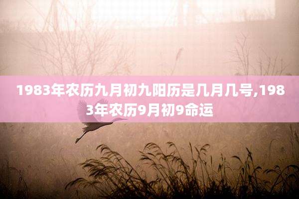 1983年农历九月初九阳历是几月几号,1983年农历9月初9命运