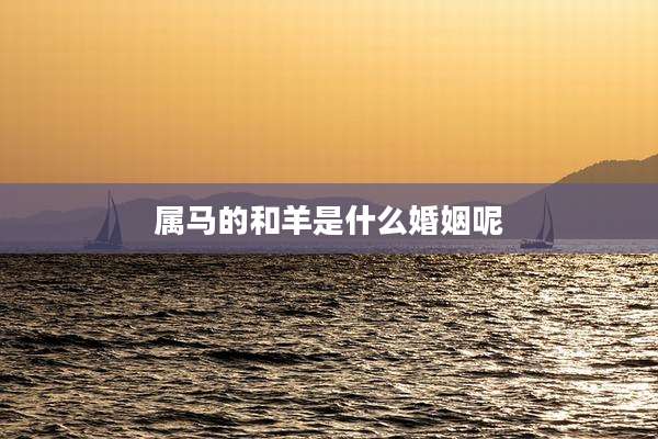属马的和羊是什么婚姻呢