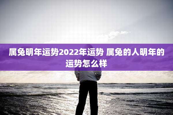 属兔明年运势2022年运势 属兔的人明年的运势怎么样