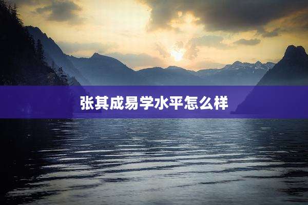 张其成易学水平怎么样