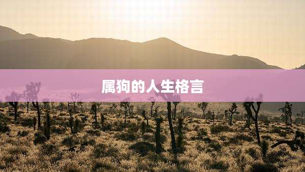 属狗的人生格言