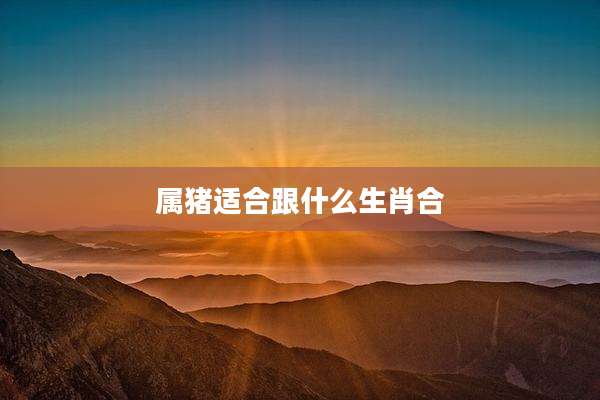 属猪适合跟什么生肖合