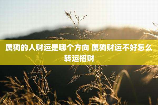 属狗的人财运是哪个方向 属狗财运不好怎么转运招财