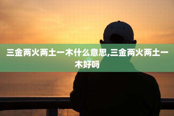 三金两火两土一木什么意思,三金两火两土一木好吗