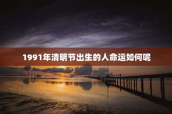 1991年清明节出生的人命运如何呢