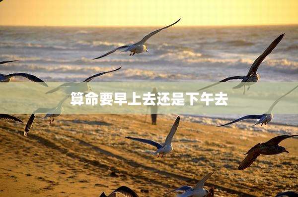 算命要早上去还是下午去
