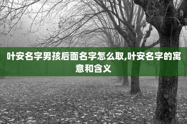 叶安名字男孩后面名字怎么取,叶安名字的寓意和含义