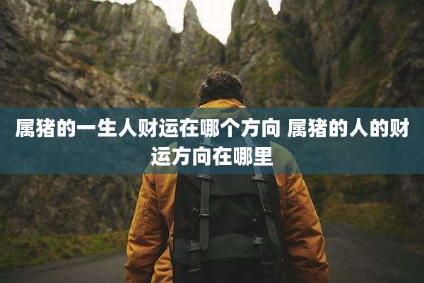 属猪的一生人财运在哪个方向 属猪的人的财运方向在哪里