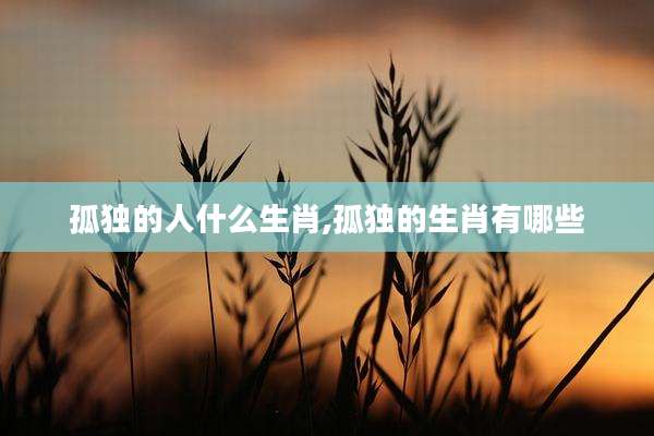 孤独的人什么生肖,孤独的生肖有哪些