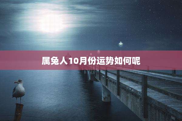 属兔人10月份运势如何呢