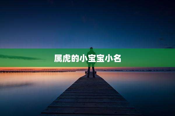 属虎的小宝宝小名