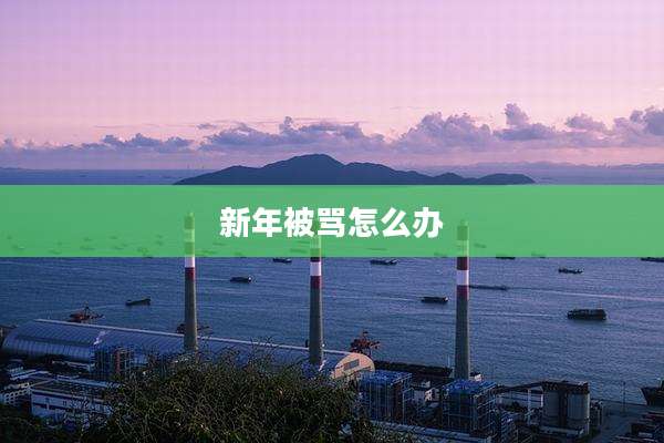 新年被骂怎么办